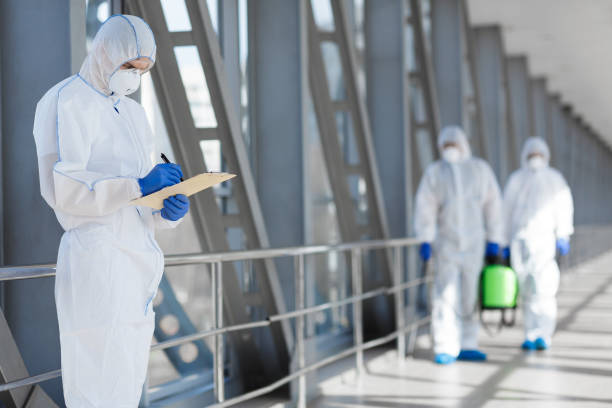  Lake Of The Pines, CA Mold Removal Pros